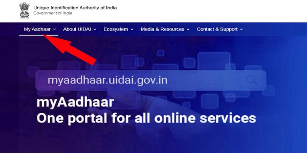 How to Download Aadhar Card